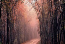 列支敦士登队表现出色，球员获赞