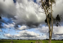 列支敦士登队表现出色，球员获赞