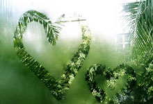 列支敦士登队表现出色，球员获赞