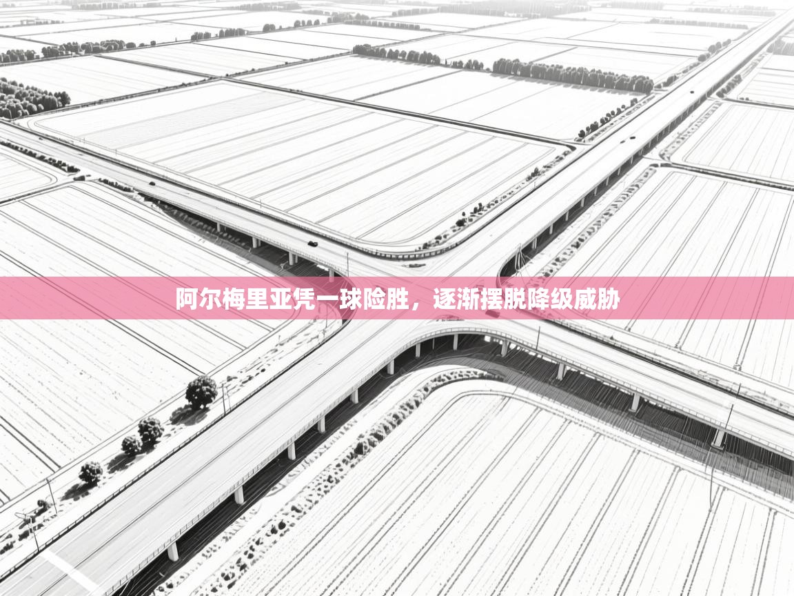 阿尔梅里亚凭一球险胜,逐渐摆脱降级威胁 第1张