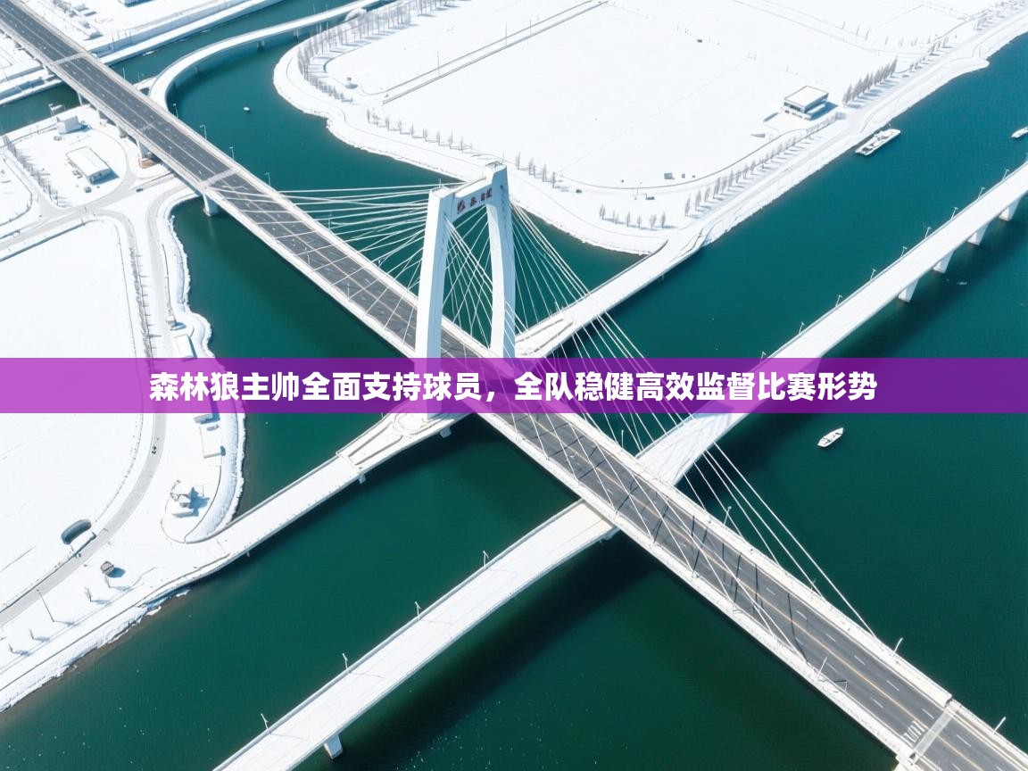 森林狼主帅全面支持球员,全队稳健高效监督比赛形势 第1张