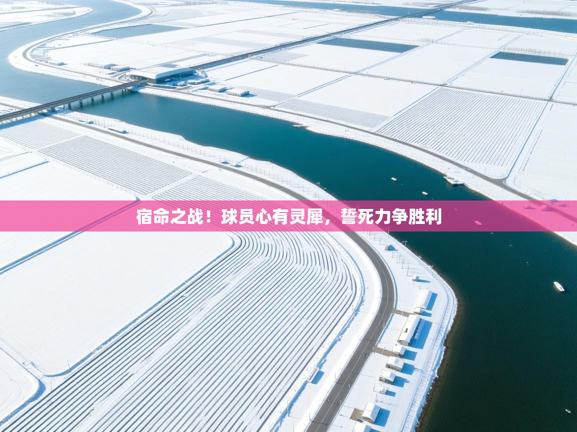 宿命之战！球员心有灵犀，誓死力争胜利  第1张