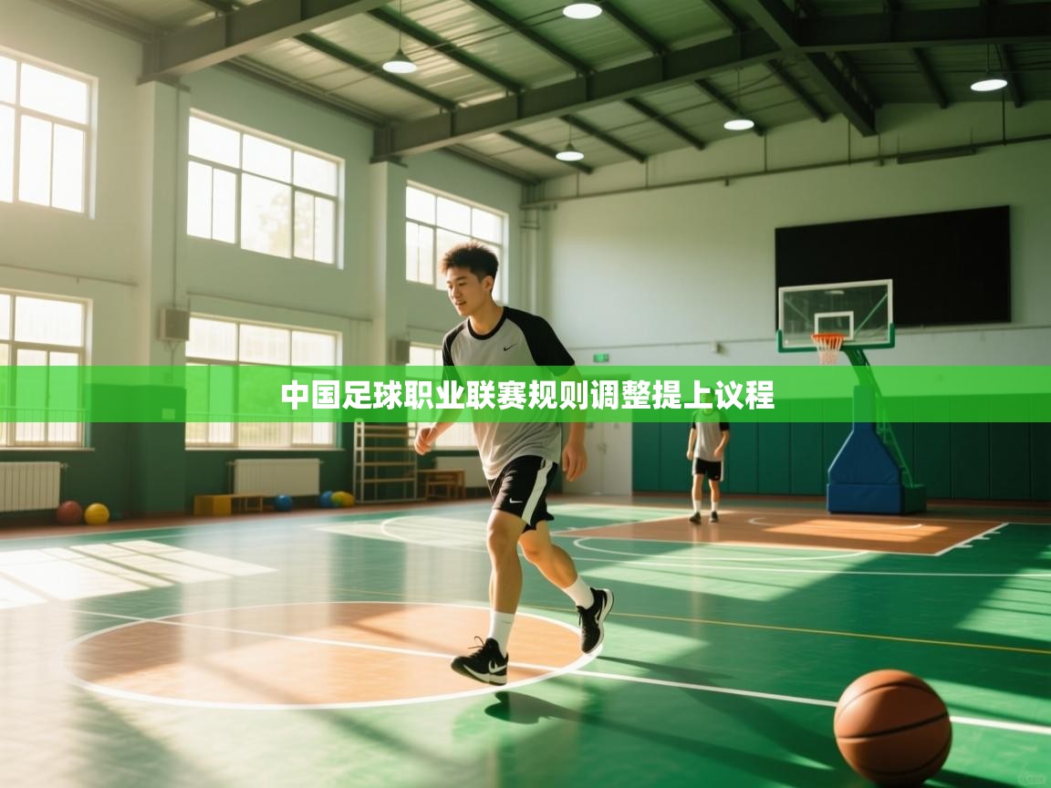 中国足球职业联赛规则调整提上议程  第2张