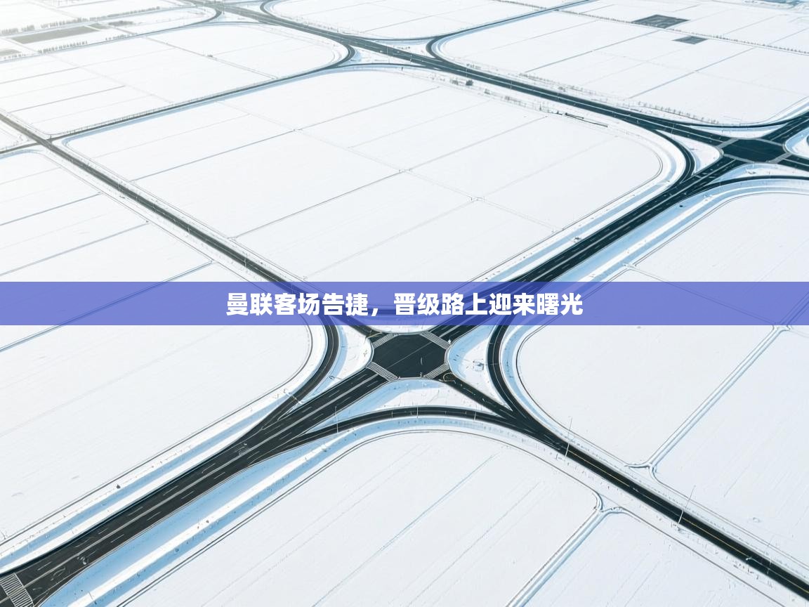 曼联客场告捷，晋级路上迎来曙光  第2张