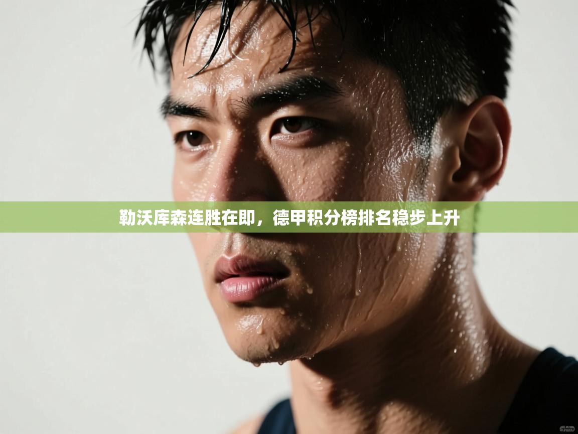 勒沃库森连胜在即,德甲积分榜排名稳步上升 第1张