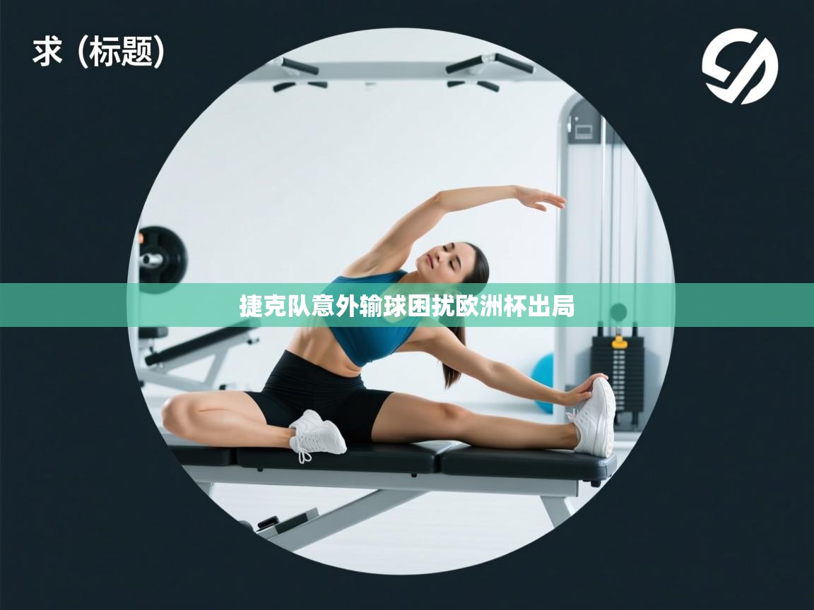 捷克队意外输球困扰欧洲杯出局