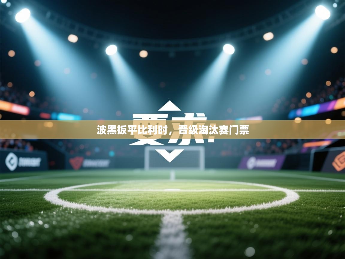 波黑扳平比利时，晋级淘汰赛门票  第2张