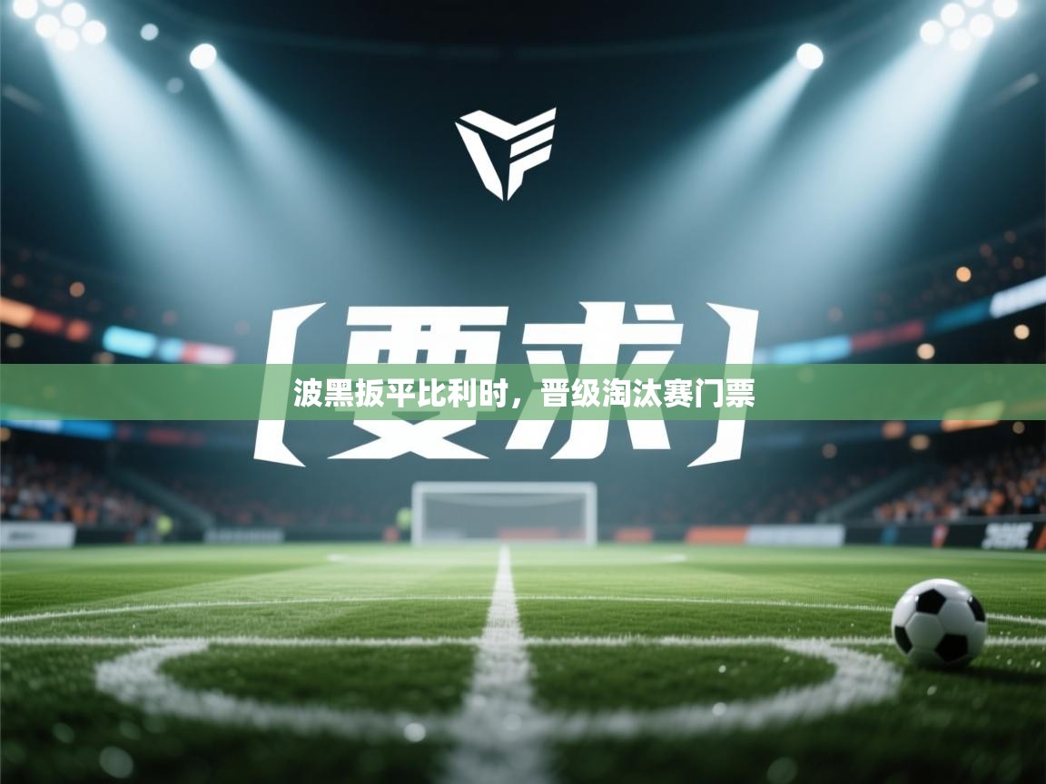 波黑扳平比利时，晋级淘汰赛门票  第1张