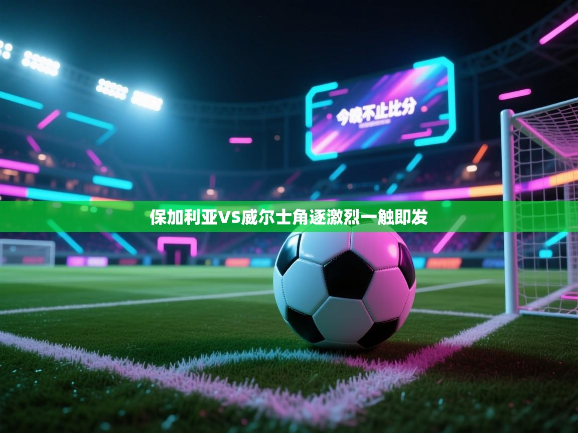 保加利亚VS威尔士角逐激烈一触即发 第2张