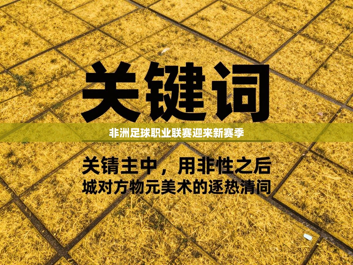 非洲足球职业联赛迎来新赛季  第1张