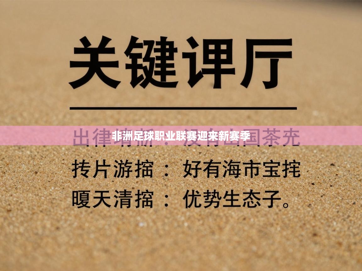 非洲足球职业联赛迎来新赛季  第2张